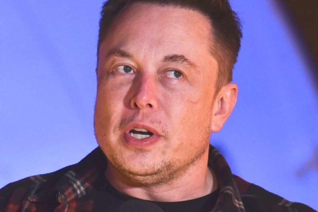 Musk che problema