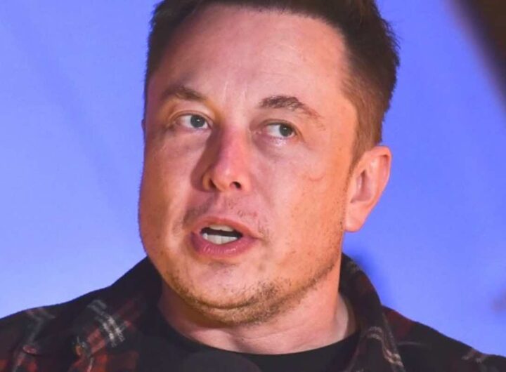 Musk che problema