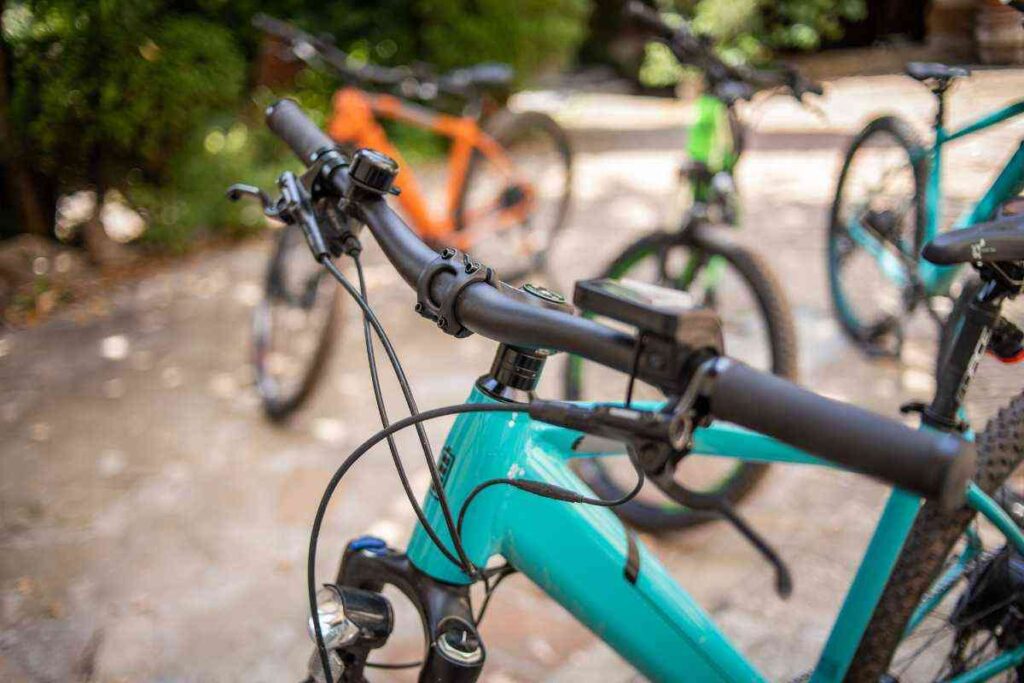Biciclette monopattini dati