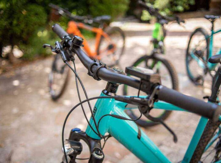 Biciclette monopattini dati