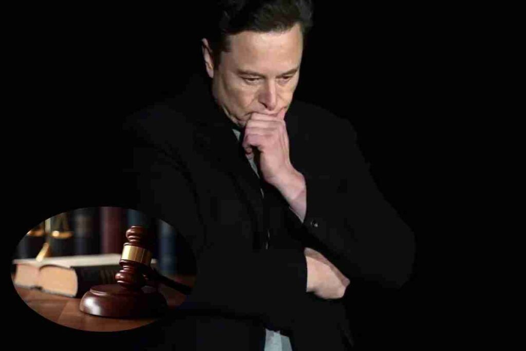 Musk grave danno