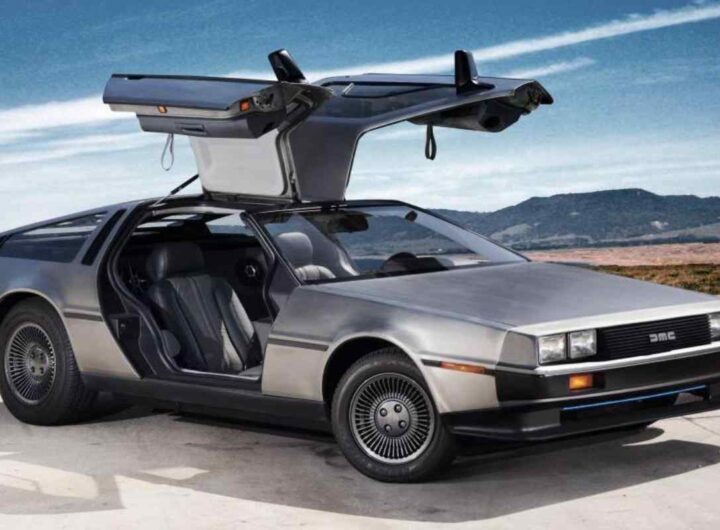 Portiere ad ala di gabbiano