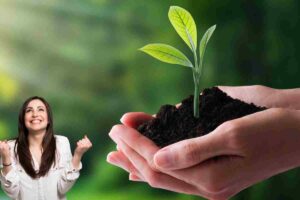 Ecologico grande novità