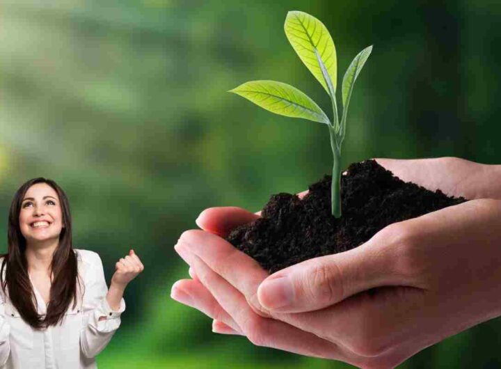 Ecologico grande novità